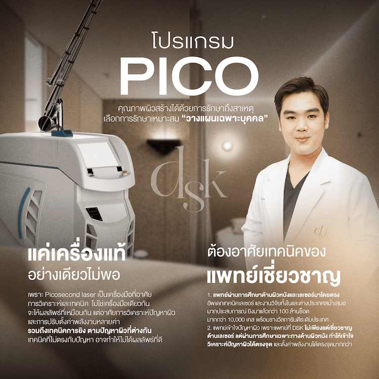 โปรแกรม Pico