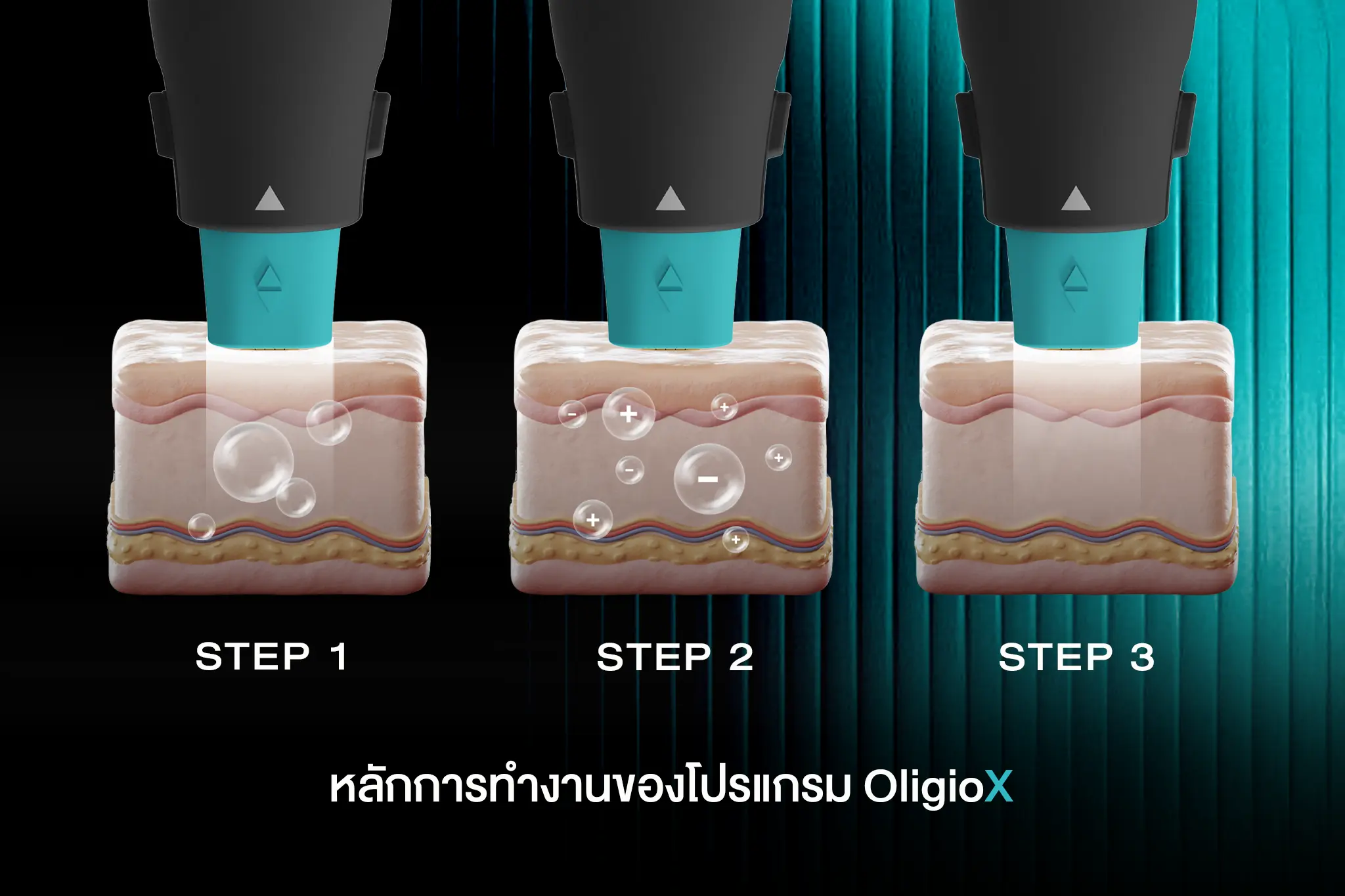 หลักการทำงาน OligioX